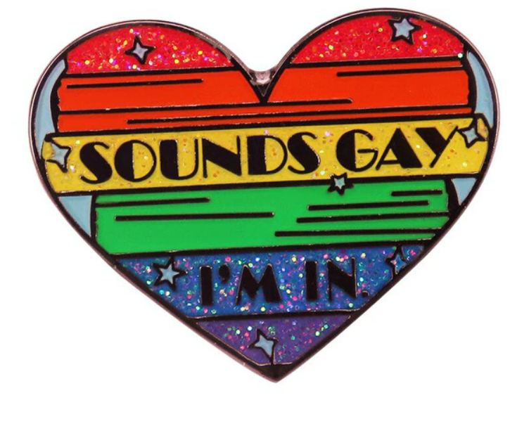 Sounds Gay I'm In Pin