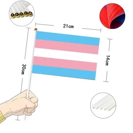 Mini Pride Flags