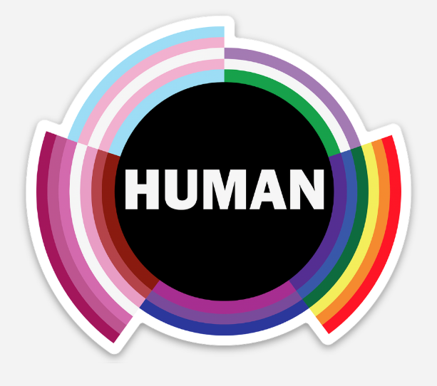 Introducing the HUMAN Sticker by RainBee Designs LLC—a durable vinyl pride sticker featuring a black circle with the word "HUMAN" in bold white, encircled by a vibrant, segmented ring symbolizing diversity and inclusion. Celebrate the strength of unity with this beautiful design.